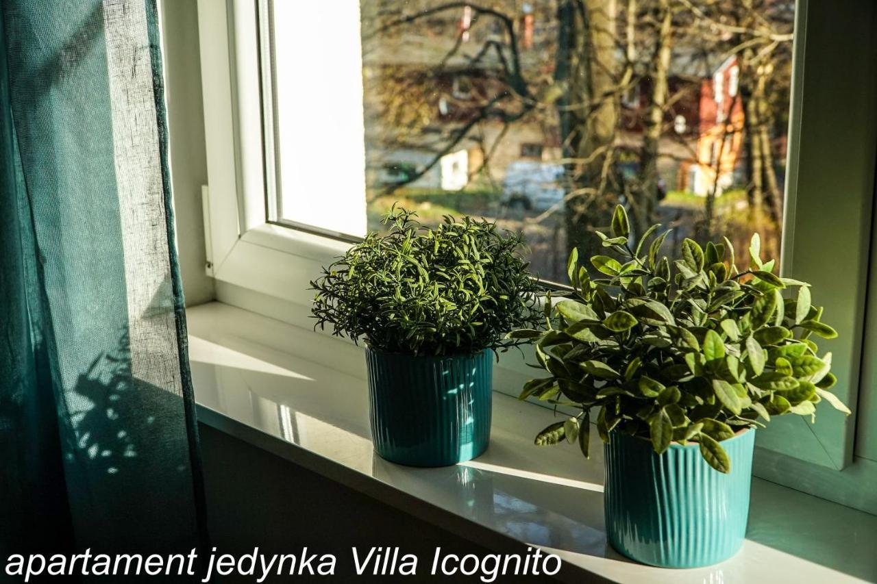 Apartament Jedynka Villa Incognito Szklarska Poręba Εξωτερικό φωτογραφία